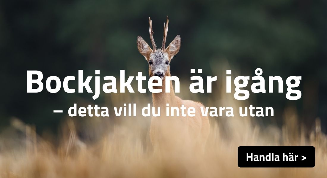Inför bockjakten