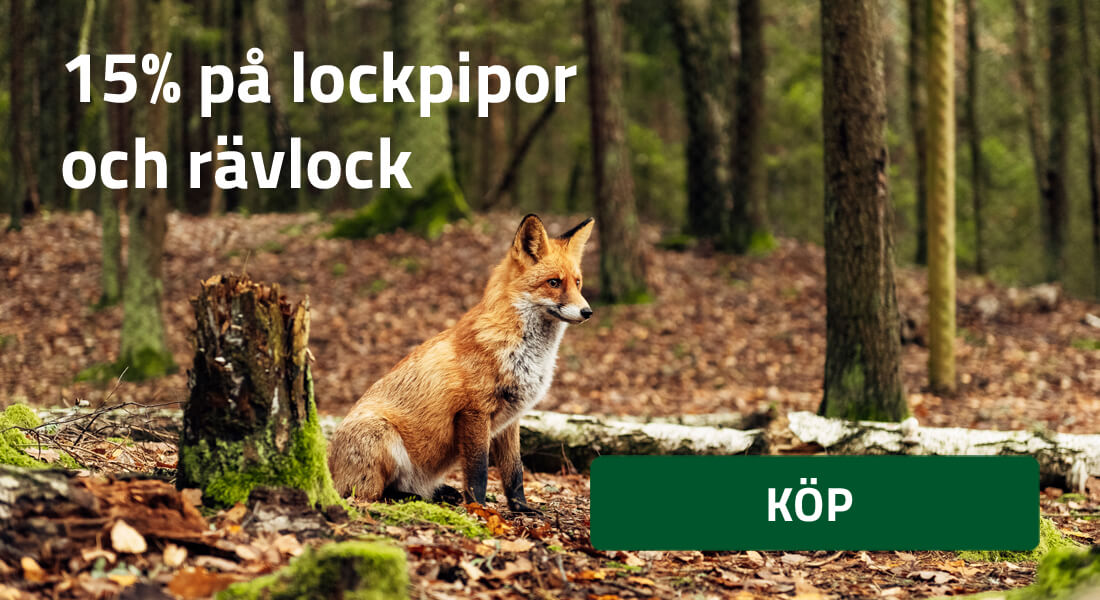 15% på lockpipor och rävlock