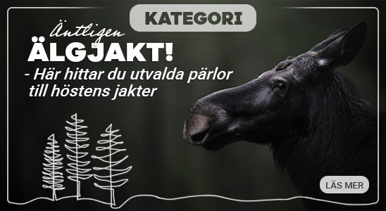 Algjakt_toppbanner