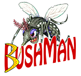 Visa alla produkter från Bushman