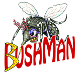 Bushman