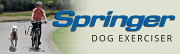 Logotyp för Springer