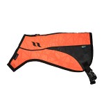 Back on Track POINT Dog Visibility Vest