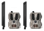 Hunter OBI Light Plus 2-pack