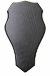 Stagline Trofesköld Dov