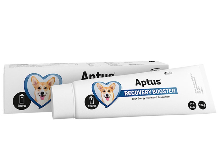 Aptus Recovery Booster 100g - Bra Pris & Fri Frakt över 899:- | Jakt.se