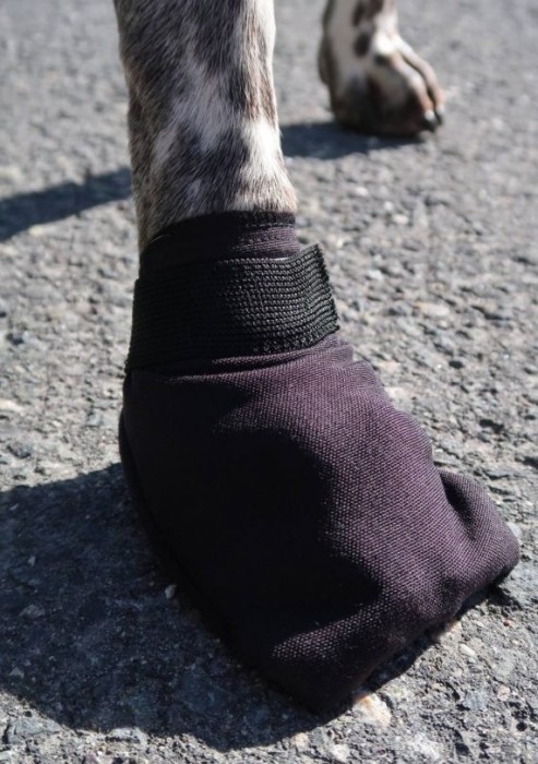 Dragråttan Hundsocka Comfort Fleece, 2-pack